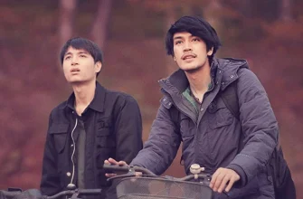 Настоящее совершенное (2017)